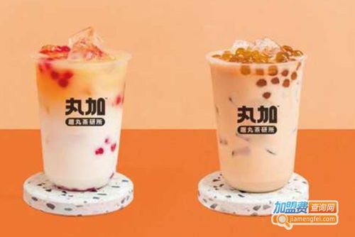 丸加奶茶加盟費(fèi)用詳情 總投資8.98萬元，加盟費(fèi)可通過官方渠道查詢